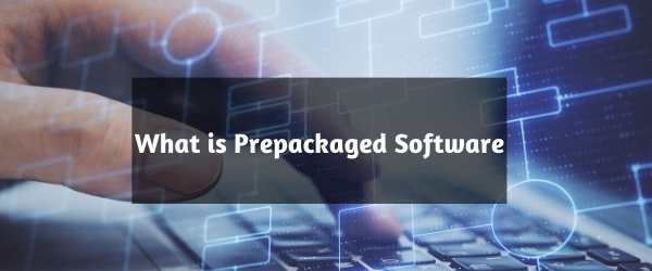 What is Prepackaged Software?