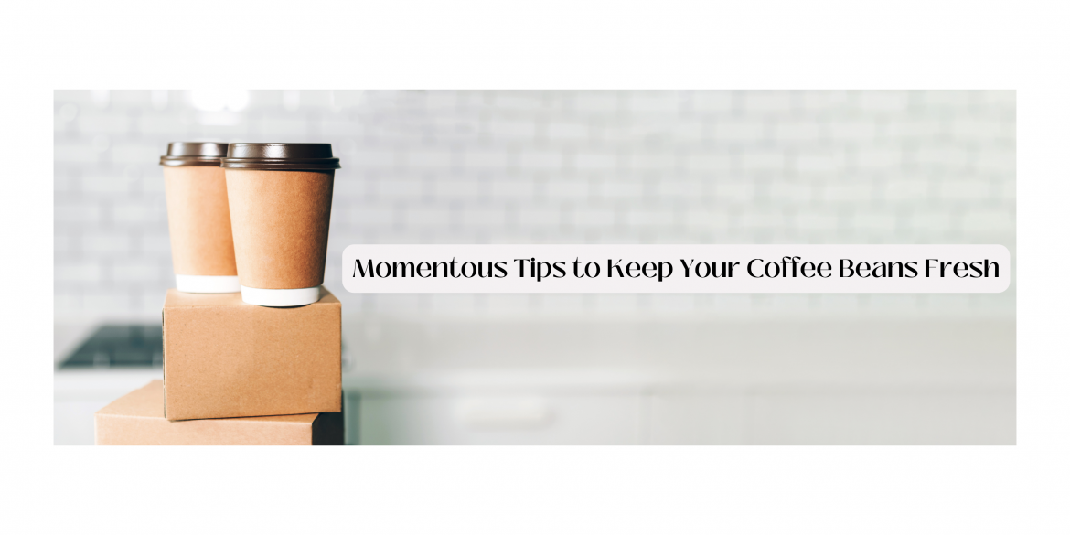 coffee-packaging-boxes