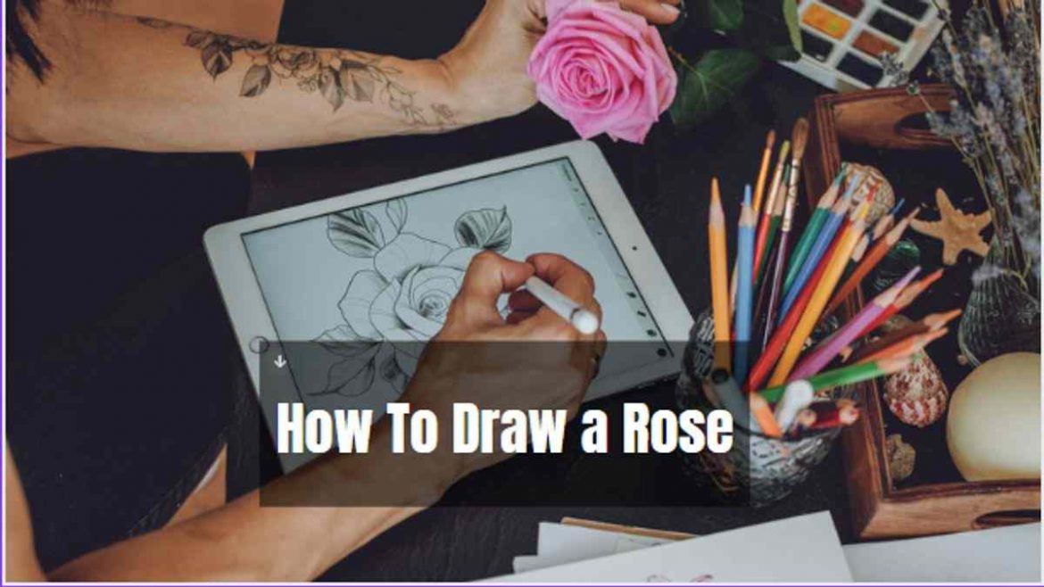 How To Draw a Rose Tips and Tricks in 2022