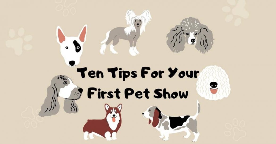 first pet show