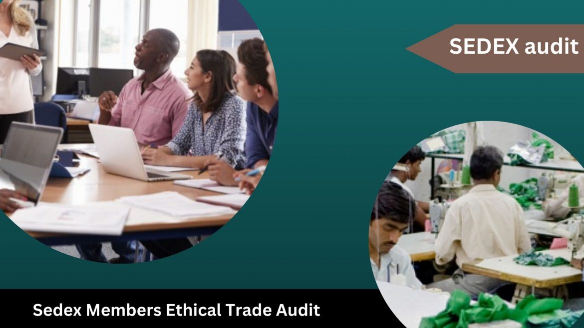 SEDEX , SEDEX audit