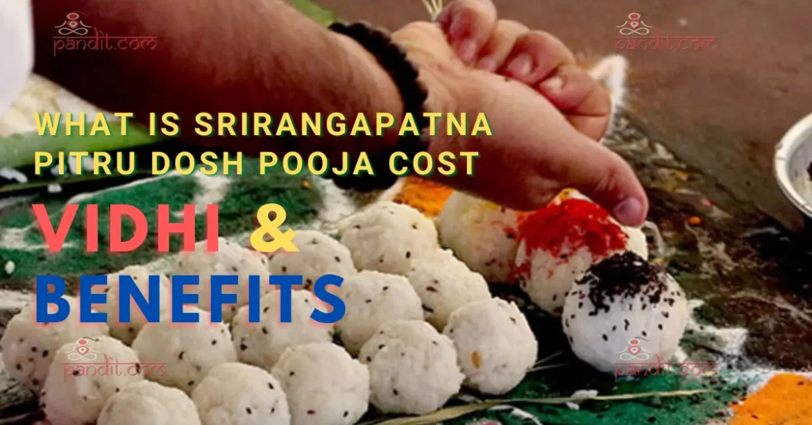 Pitra Dosh Puja Cost